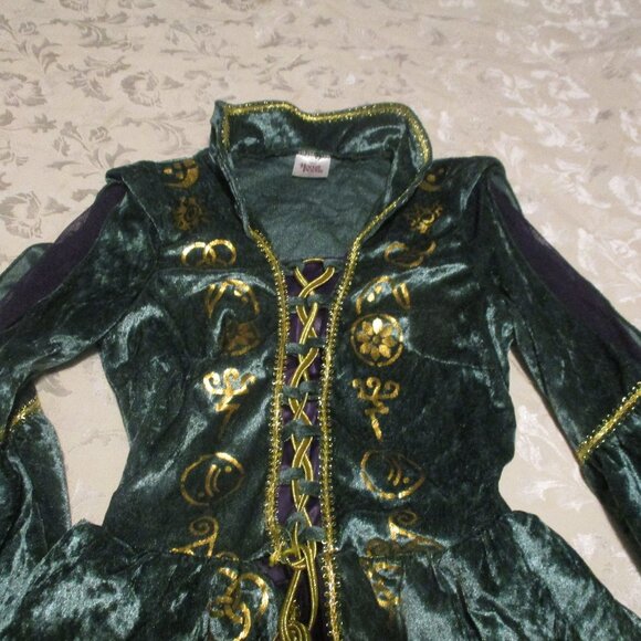 Disney Hocus Pocus Winifred costume M - Picture 3 of 6